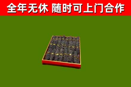 哈密回收海参